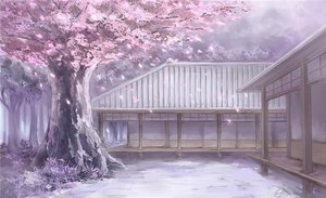 初棋不遇櫻落