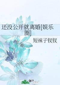 還沒公開就離婚[娛樂圈]